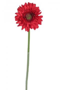 gerbera-48-cm-cervena_11055_29665.jpg