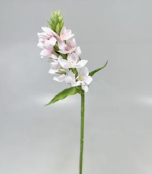 ornitogalum-45-cm--ruzove_10537_26611.jpg