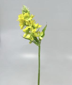 ornitogalum-45-cm--zlute_10540_26617.jpg