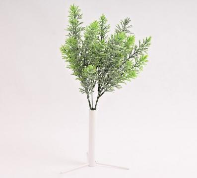trs-asparagusu-38-cm-zeleny-popraseny_10318_25690.jpg