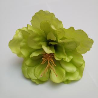 kvet-ibiseku-12-cm--zeleny_9509_20906.jpg