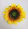 Květ slunečnice 9 cm 